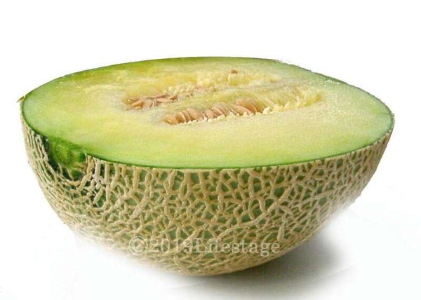 【栃木県内発】 名産地鉾田でメロン1玉狩り&メロン1/2玉(注)豪快試食付 タコの町茨城県大洗の「三浜たこめし」弁当と那珂湊 日帰り2